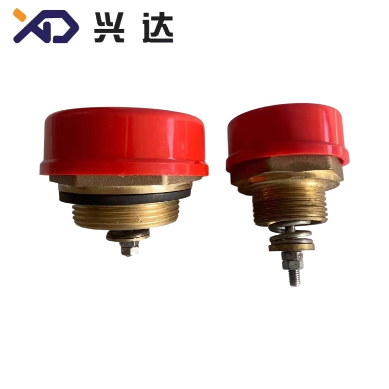Pressure Relief Valve: Complet