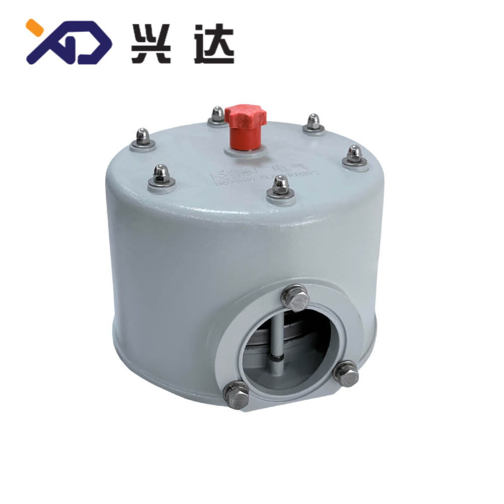 YSF20-130 Series Pressure Reli